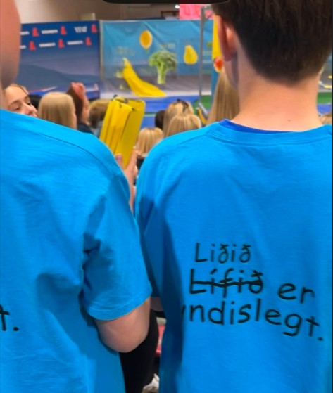 Heiðarskóli í 4. sæti í Skólahreysti