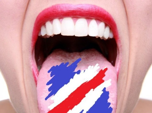 Dagur íslenskrar tungu 